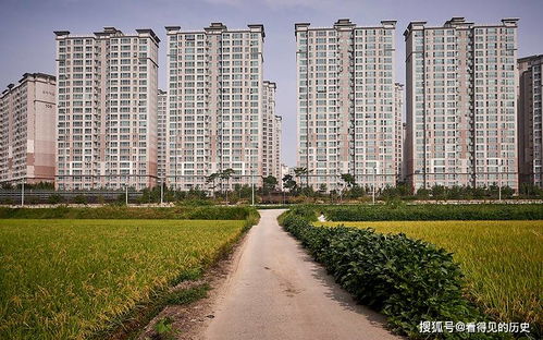 從“莊稼”到城市 韓國(guó)漢城房地產(chǎn)開發(fā)的狂飆與反思
